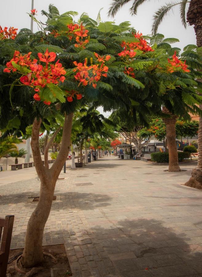 El Carmen Beach Apartment 로스크리스티아노스 외부 사진